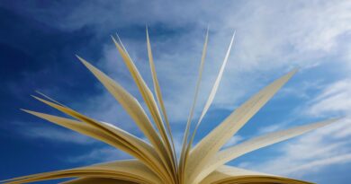 open book with blue sky